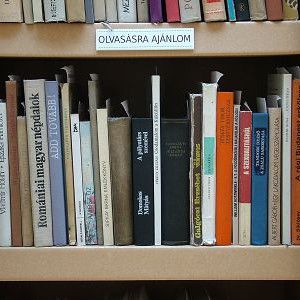 Dead Library – Books Unread
